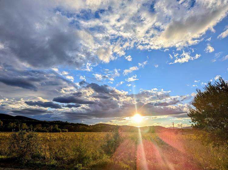 Coucher de soleil sur les vignes