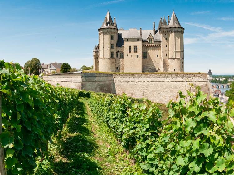 Domaine Viticole Proche de Canet
