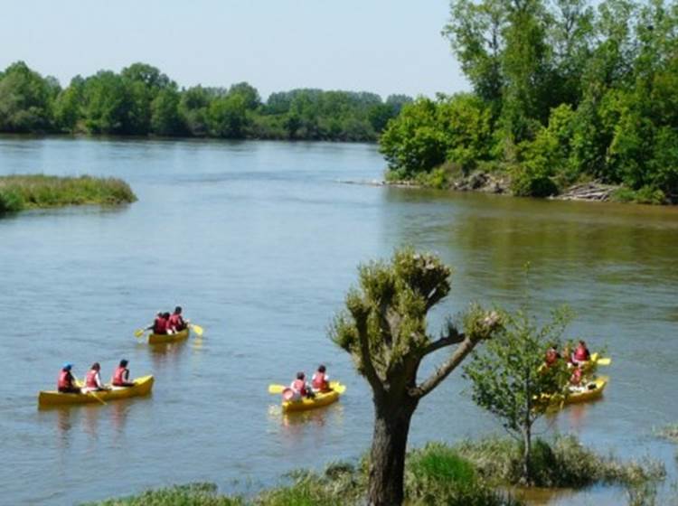 Canoë Kayak à Saint Satur