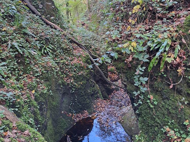 Cuve ou marmite du Colèbî