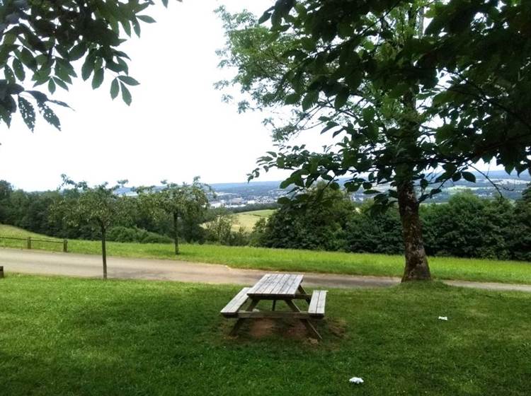 La vallée de la Meuse, vue de Noyers-Pont-Maugis, à 6 km du gîte