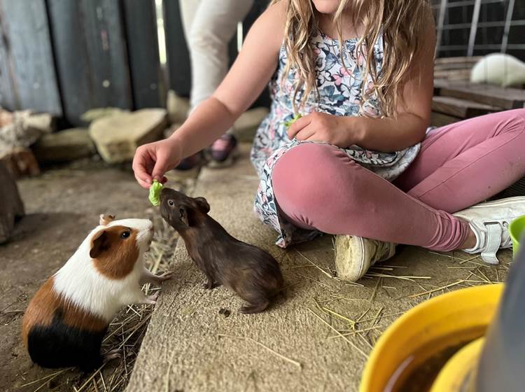 nourrir et s'emerveiller