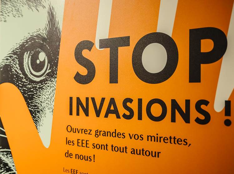 Expo STOP INVASIONS ©Martin Dellicour