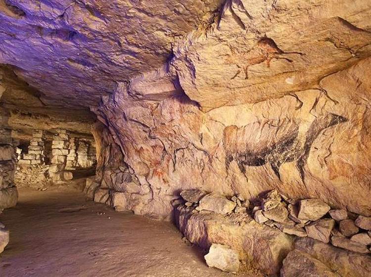 Visite-art-culture-Nouvelle-Aquitaine-Lascaux