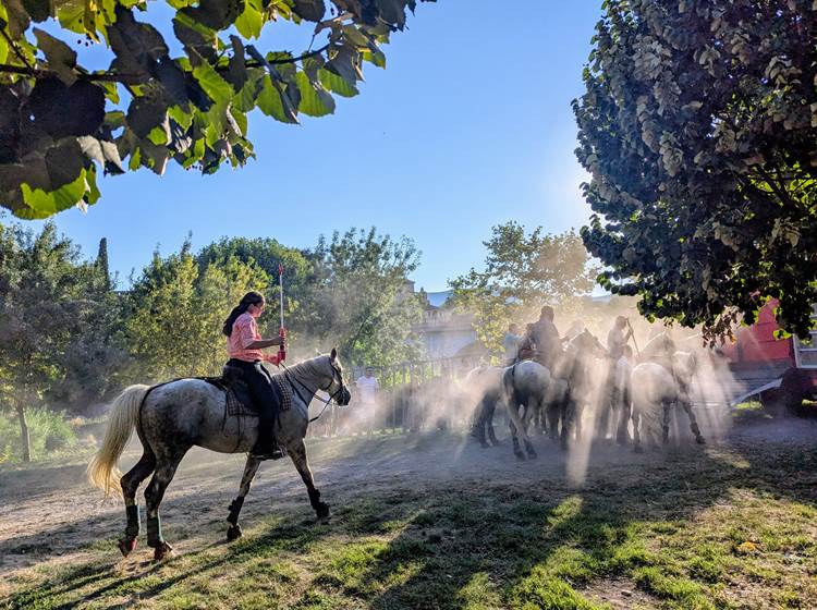 Abrivado à Quissac