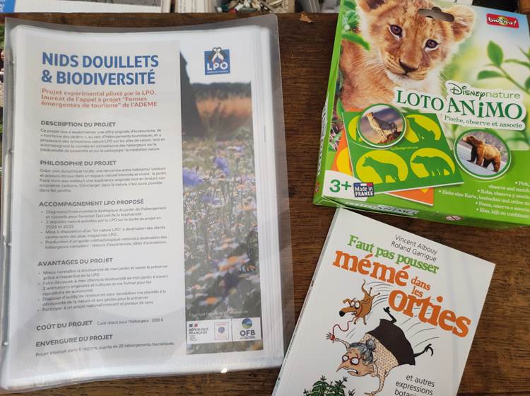 Sans titre
