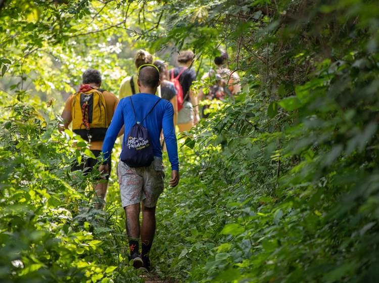 Marche en forêt