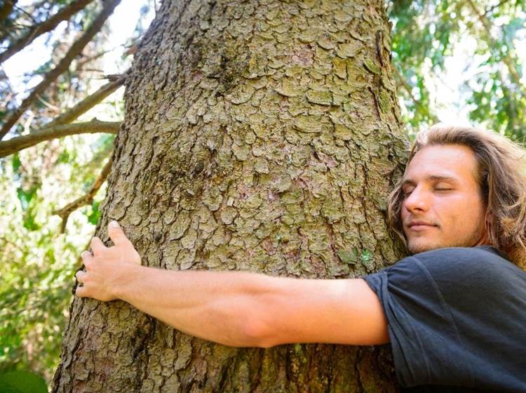 Offrez un bain de forêt