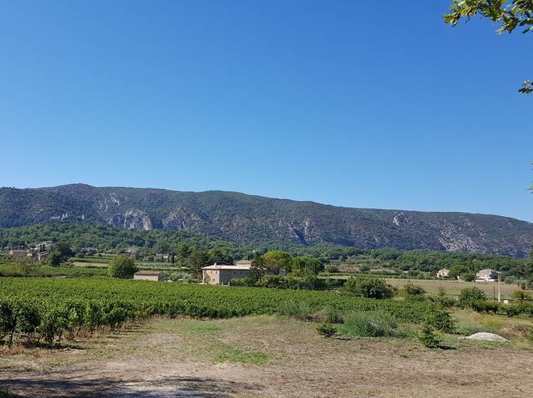 Oppède en Provence - vue Sud sur le massif du Luberon et Oppède le Vieux