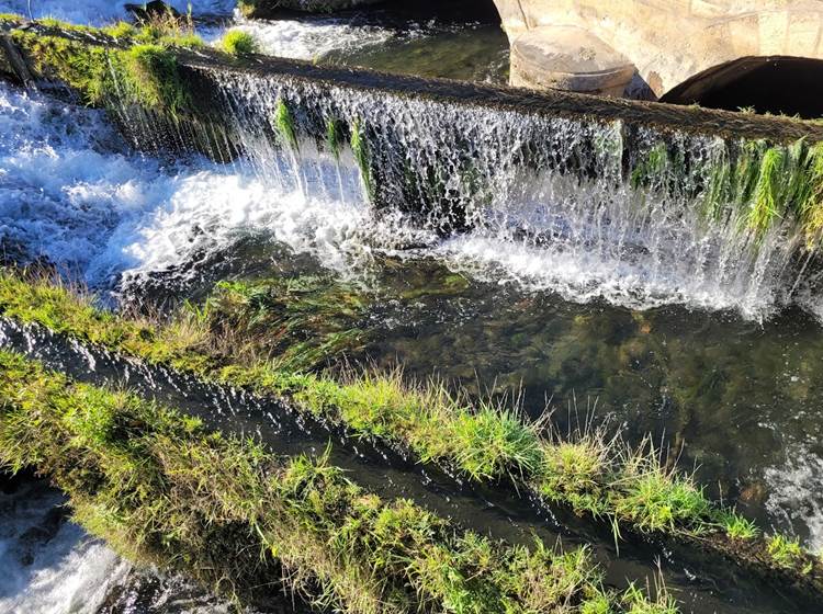 La sorgue