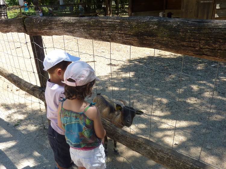 Parc animalier de Gramat © Lot Tourisme - E