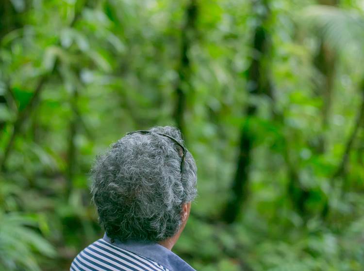 Aventure-Guadeloupe-Koroko