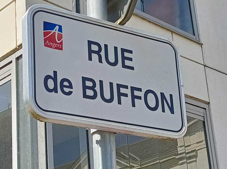 Villa Buffon Angers, 22 rue de Buffon