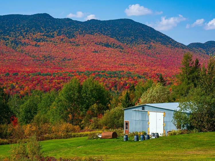 Le  Mont Megantic