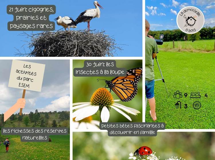 les activités du parc ESEM