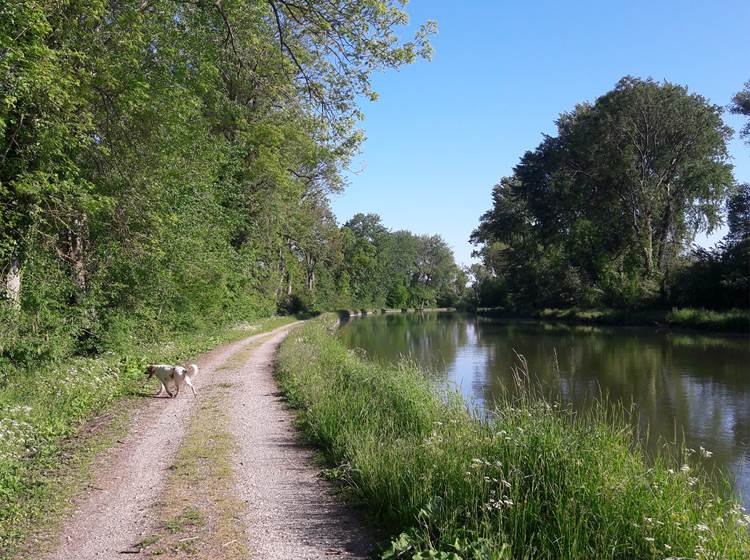 Au cœur de la nature