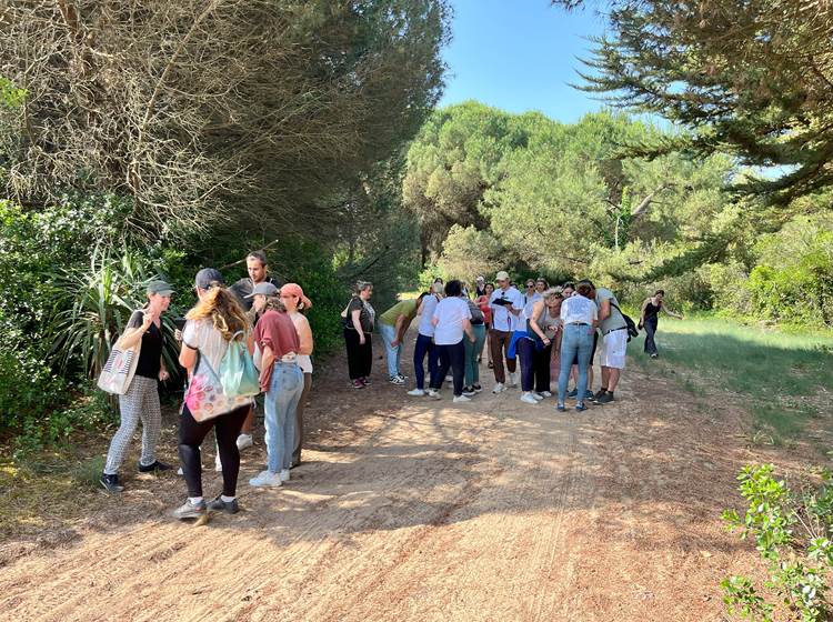 team building au bois plage en ré