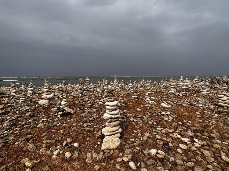 Balade aux alentours du phare de Chassiron