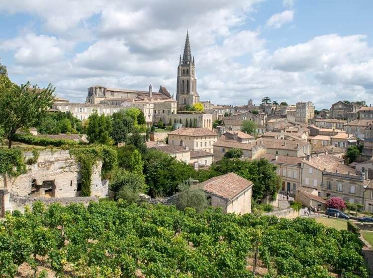 Nid Cosy Bordeaux - Saint Emilion