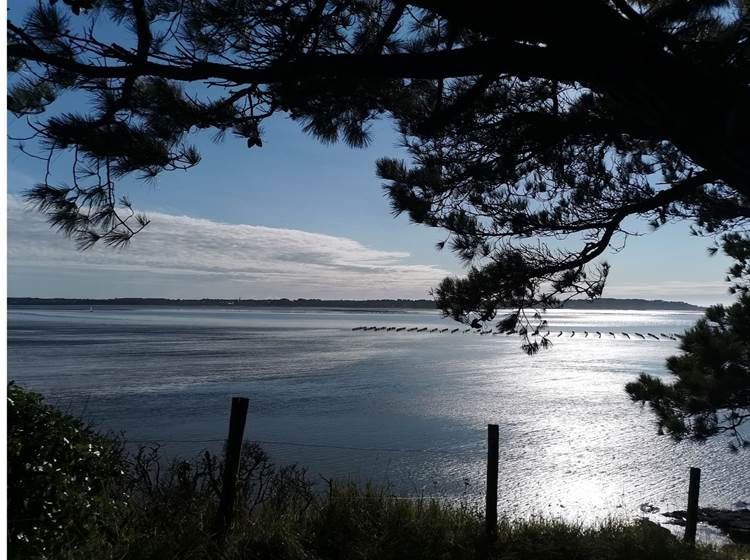 billiers plage du crapeau gr 34 morbihan bretagne maison d'hôtes bien être séjour repos ressourcement détente anti stress cure ayurvédique spa