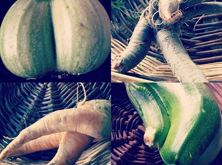 Variation de Légumes Bio