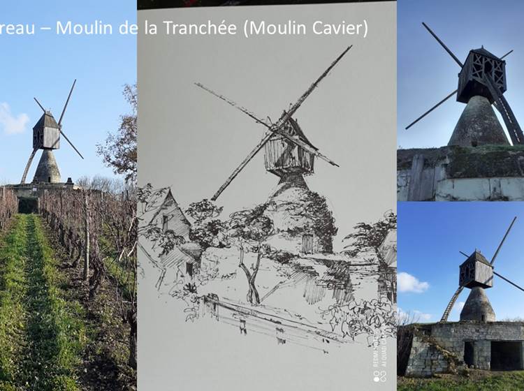 Moulin de la Tranchée à Montsoreau