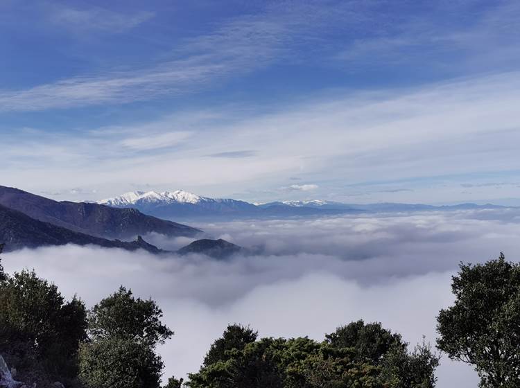 Le Canigou vue des Albères