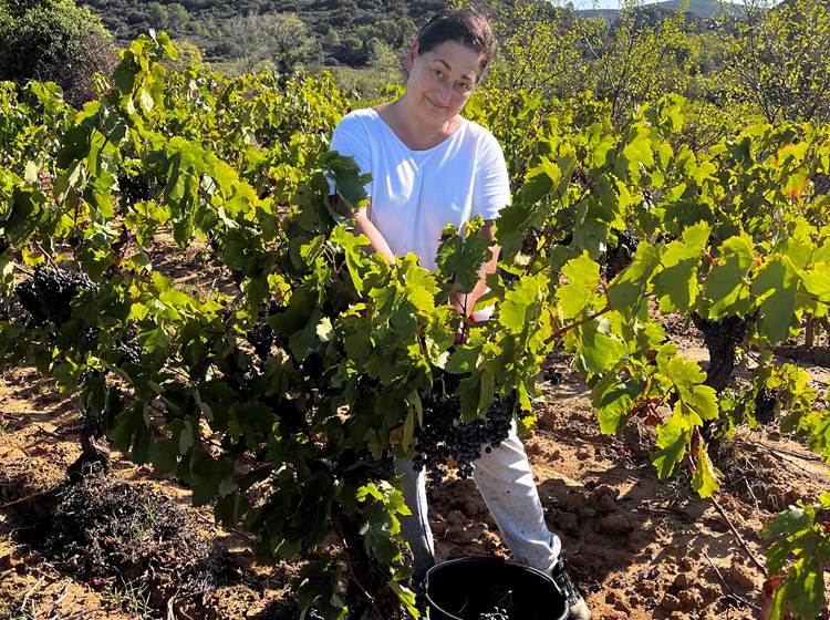 Petite pose dans les carignans