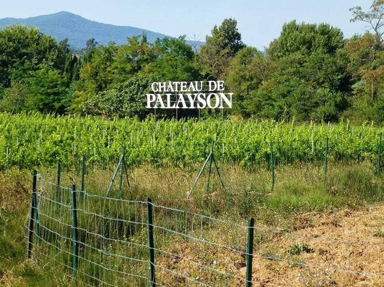 Domaine de Palayson