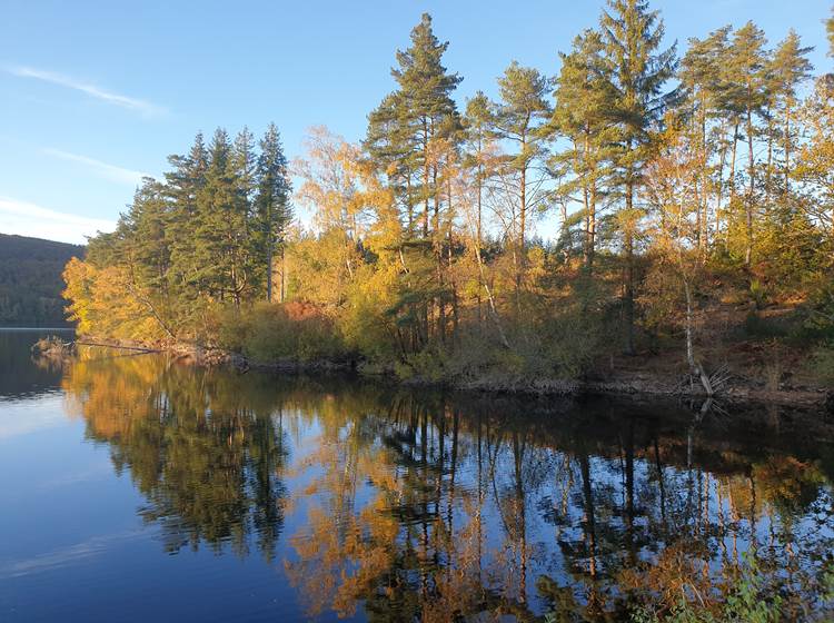 Le lac de Vassivière et ses multiples activités à seulement 7km du motel les tilleuls