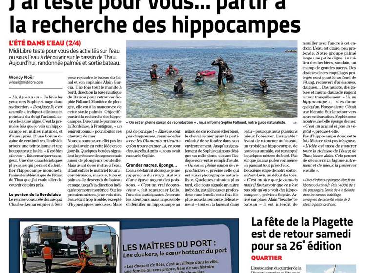 Midi libre hippocampes Thau-news