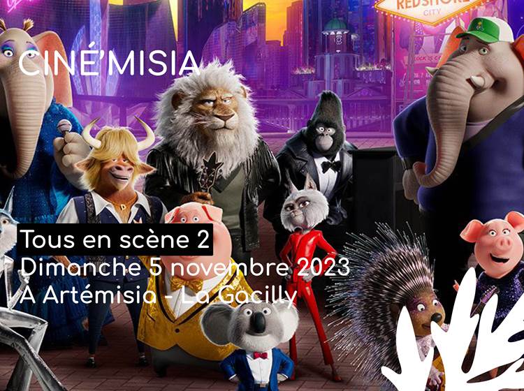 Cinéma : Tous en scène 2