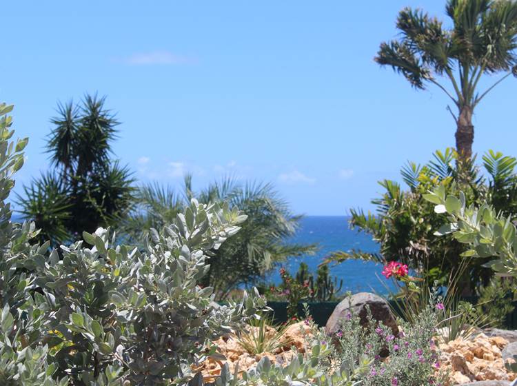 Iguane House villas & Micro Spa jardin et vue mer