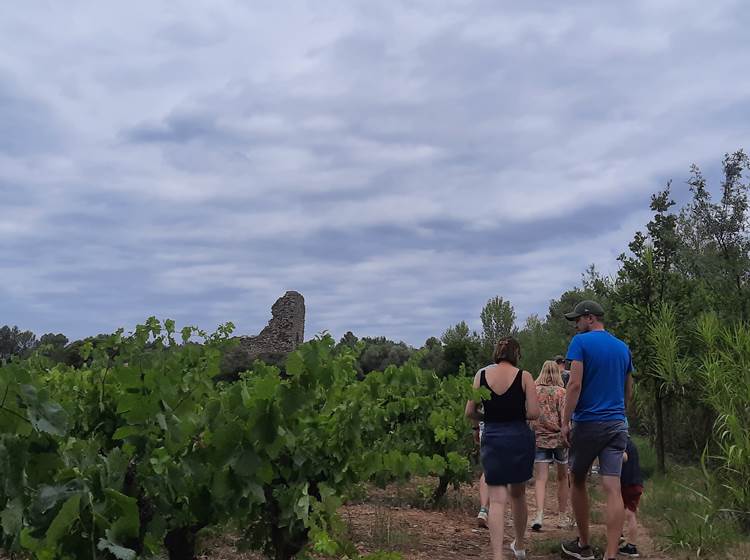 Balade vigneronne Domaine La Tasque