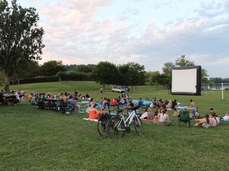 Cinéma en plein air