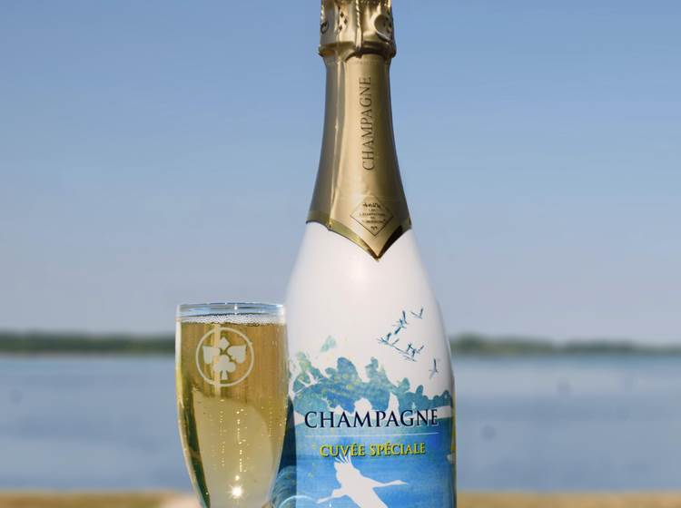 BullesDer-champagne-coll OT Lac du Der