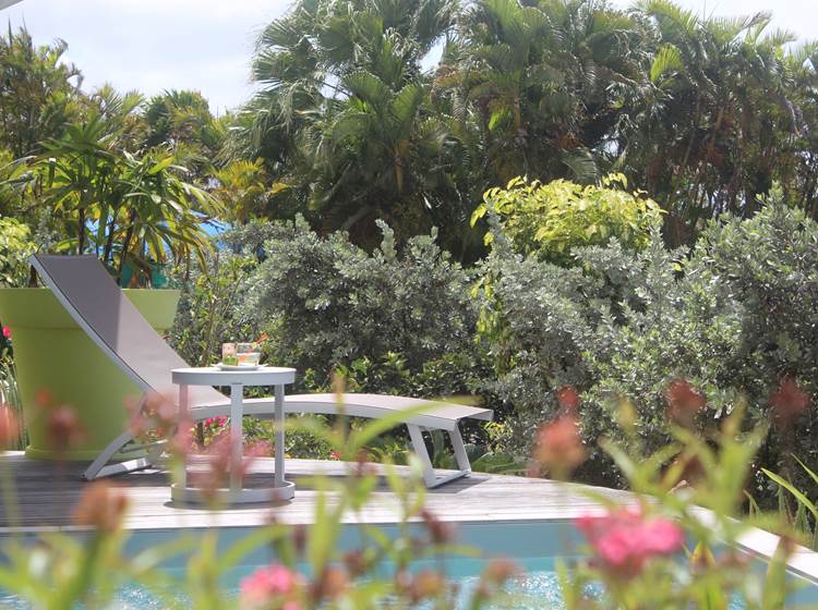 Iguane House villas & Micro Spa farniente autour de nos piscines