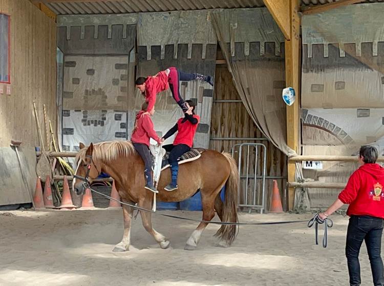 voltige