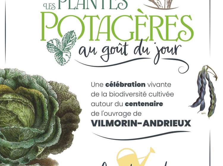 Affiche de l'exposition "les plantes potagères au goût du jour"