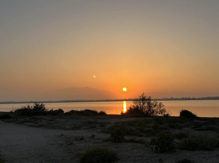 Coucher de soleil sur l'étang de Canet