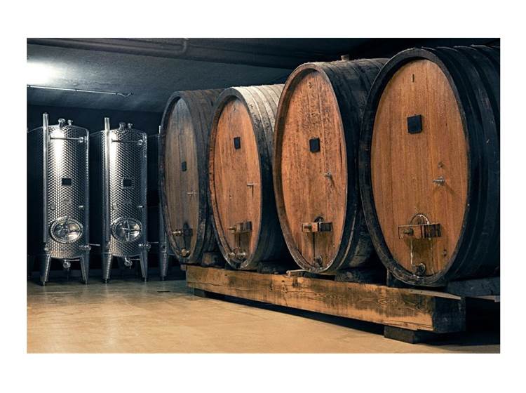 Visites de caves à vin