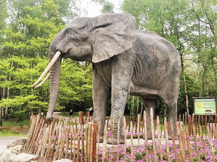 Une journée au Monde Sauvage d'Aywaille. Un vrai plaisir