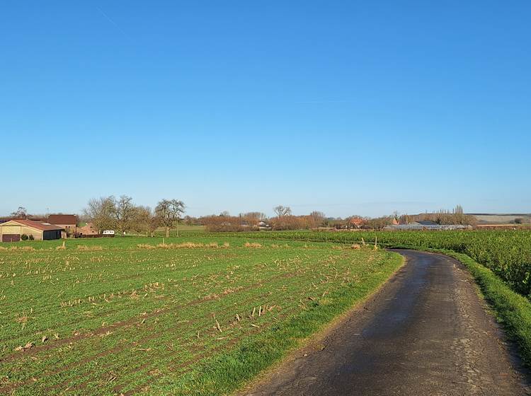 Au fil de la promenade