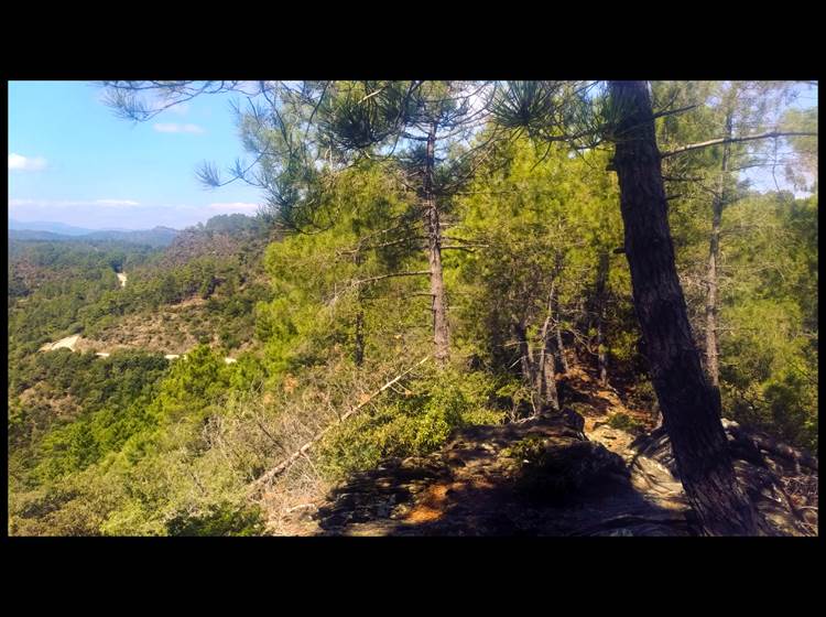 Le chemin aux alentours de St Jean du Gard