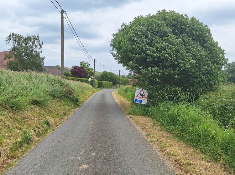 Au fil de la promenade