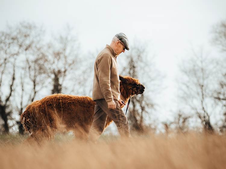 Médiation par l'animal de l'enfant à la personne âgée