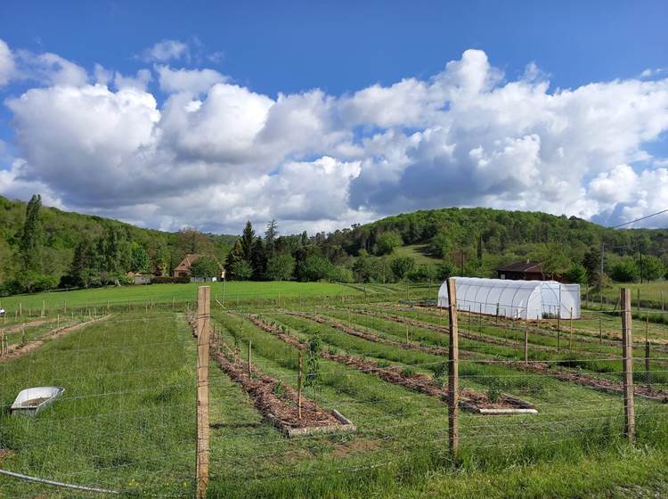 MEJORES FRUTAS LOGIAS PARA FARMEAR