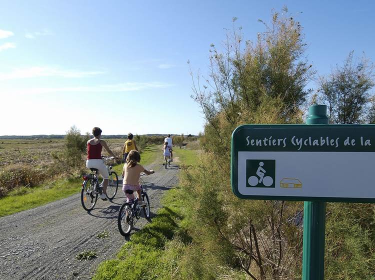 Sentiers cyclables de Vendée