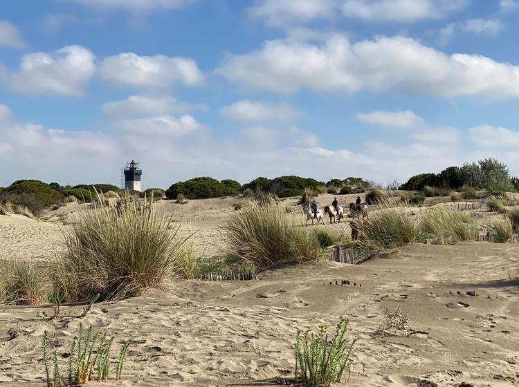 Plage de l'Espiguette