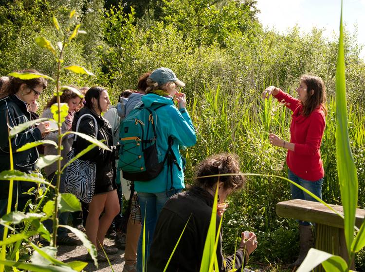 Photo éditée par le parc ESEM